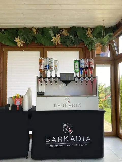 Barkadia na imprezie, zdjęcie 12